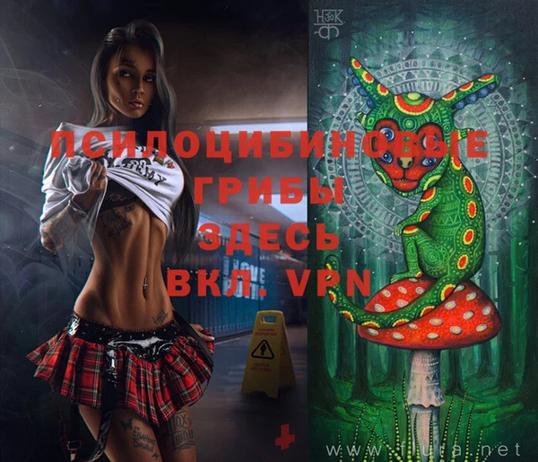 хмурый Новодвинск