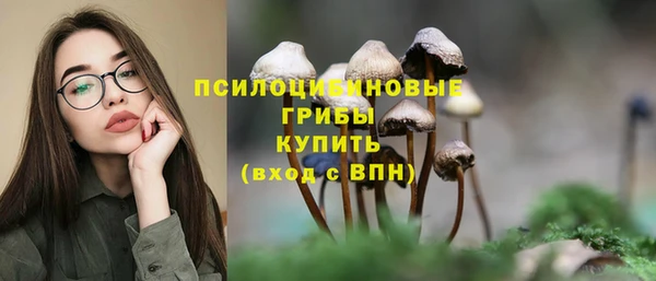 героин Новозыбков