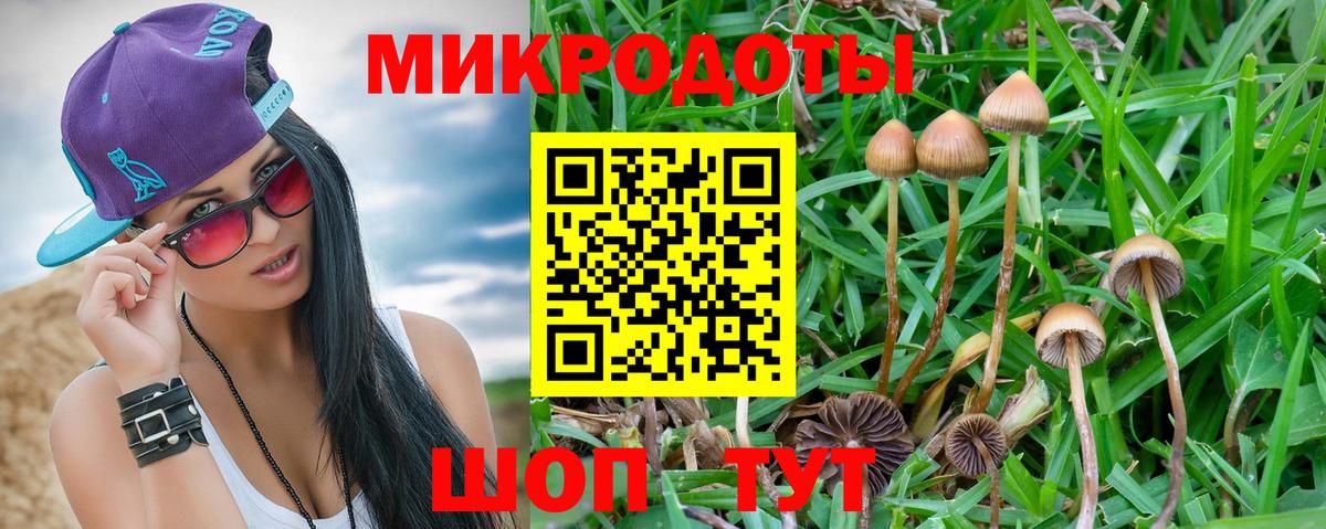 Кировск  Псилоцибиновые грибы MAGIC MUSHROOMS  закладка  Галлюциногенные грибы Psilocybine cubensis  Вход с VPN 